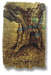 Pata de olivo, 2002, tinta sobre papiro, 34,5 x 22 cm