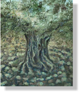 "Olivo en plata", 2009, leo sobre lienzo, 60 x 50 cm