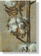 "Algodn", 2009, leo sobre lienzo, 18 x 14 cm